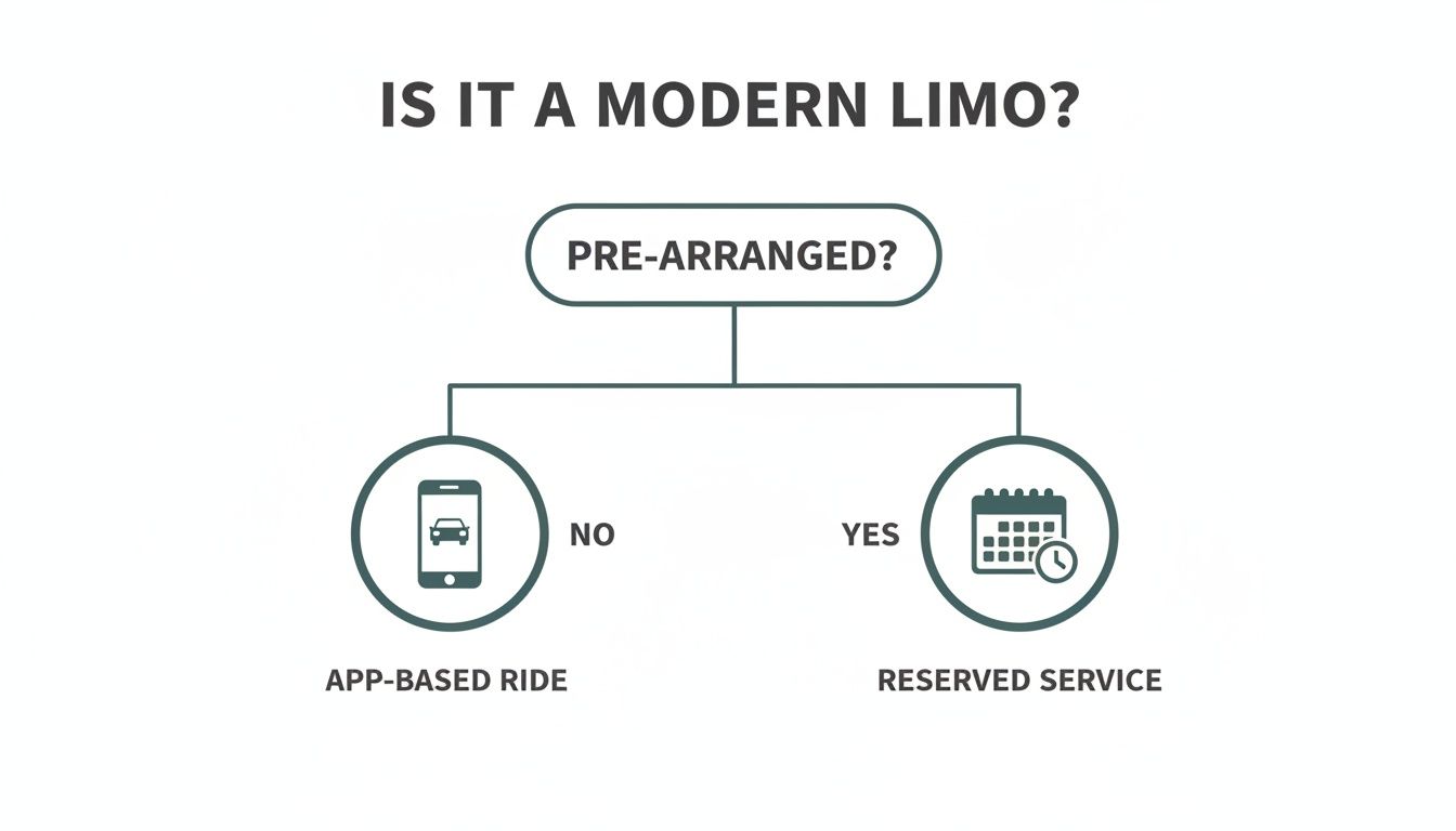 A flowchart titled 'IS IT A MODERN LIMO?' asking 'PRE-ARRANGED?'. 'NO' leads to 'APP-BASED RIDE', 'YES' leads to 'RESERVED SERVICE'.